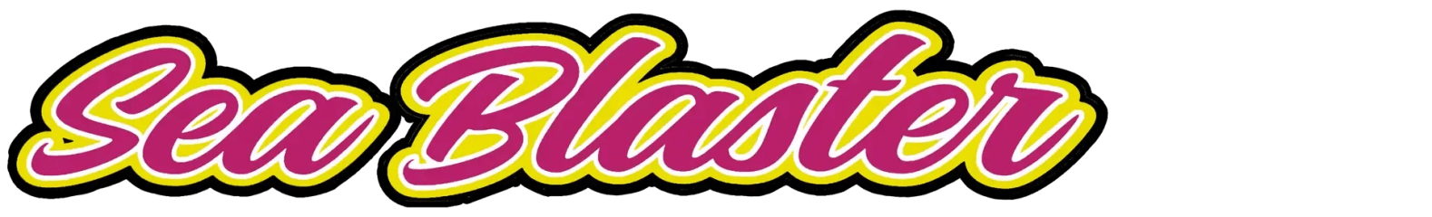 Adventures Aboard Sea Blaster, LLC